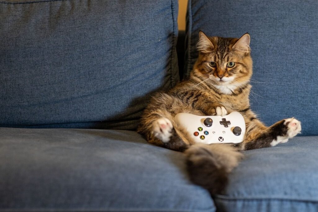 cat-playing-video-game