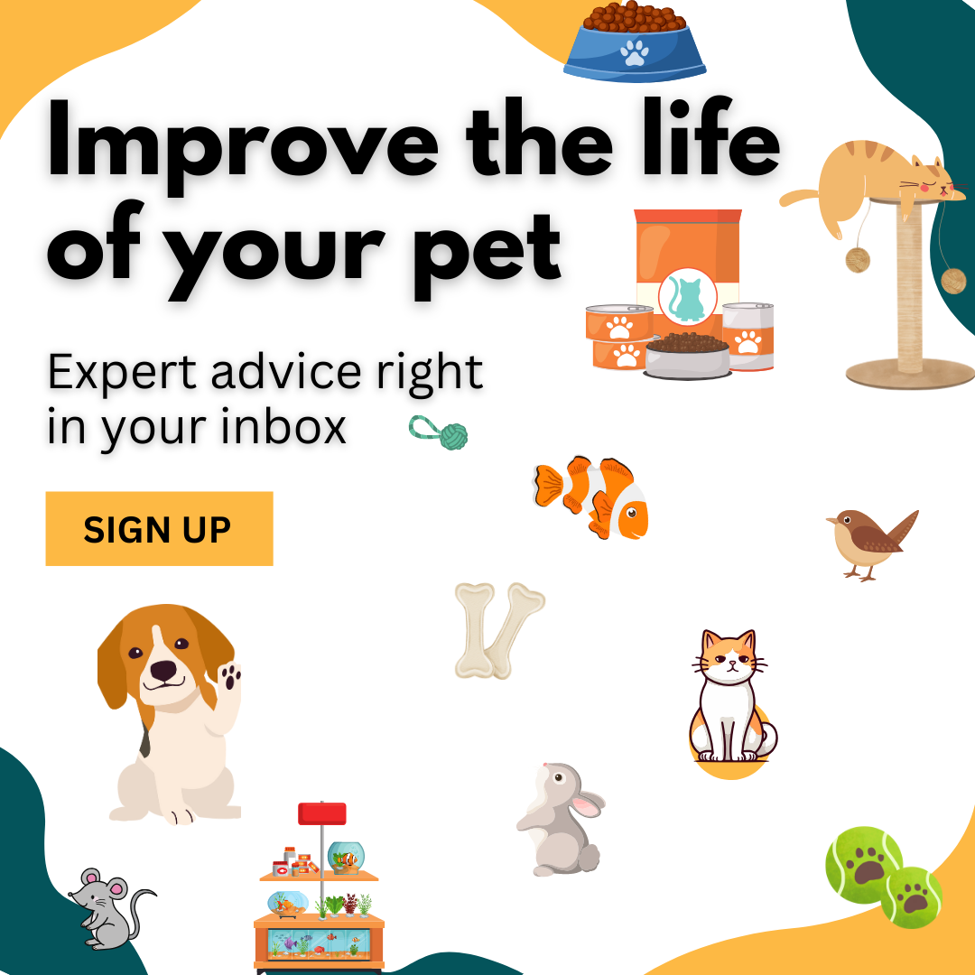 BrandonJournal Where Passion For Pets Comes To Life brandonjournal-where-passion-for-pets-comes-to-life